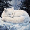 Sleepy Arctic Fox Winter Diamond Painting