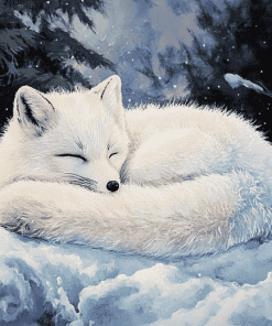 Sleepy Arctic Fox Winter Diamond Painting