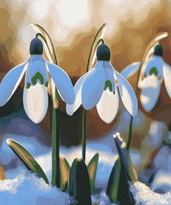 Snowdrops Blossoms Diamond Painting