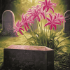 Spider Lilies Flowers on Graves Diamond Painting