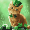 St Patrick's Day Kitten Diamond Painting