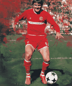 Steve Heighway Famous Footballer Diamond Painting