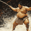 Sumo Warrior Sports Diamond Painting