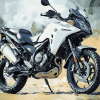 Suzuki DL 650 Adventure Diamond Painting