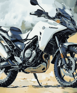 Suzuki DL 650 Adventure Diamond Painting