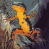 Swimming Salamander Reptile Diamond Painting