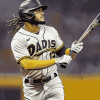 Tatis Jr San Diego Star Diamond Painting