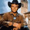 Terence Hill Celebrity Portrait Diamond Painting