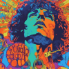 The Doors Psychedelic Art Diamond Painting