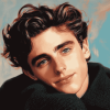 Timothee Chalamet Celebrity Diamond Painting