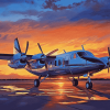 Twin Commander Jets at Sunset Diamond Painting