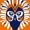 University Illiniwek Logo Diamond Painting