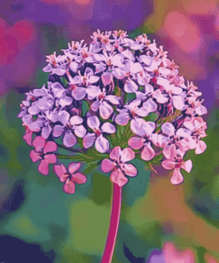 Valerian Blossoms Diamond Painting