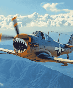 Vintage Curtiss P 40 Warhawk Diamond Painting