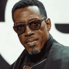 Wesley Snipes Celebrity Diamond Painting