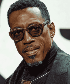 Wesley Snipes Celebrity Diamond Painting