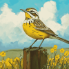 Western Meadowlark Bird Diamond Painting