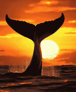 Whale Tail Silhouette Diamond Painting