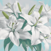 White Lily Blossoms Diamond Painting