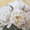 White Peonies Blossoms Diamond Painting