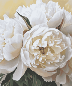 White Peonies Blossoms Diamond Painting