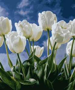 White Tulips Blossom Diamond Painting