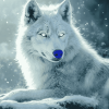 White Wolf Diamond Painting