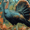 Wild Turkey Birds Diamond Painting