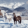 Winter Horses Mountain Scene Diamond Painting