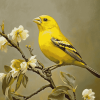 Yellow Finch Bird Diamond Painting