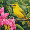 Yellow Hawaiian Honeycreeper Birds Diamond Painting