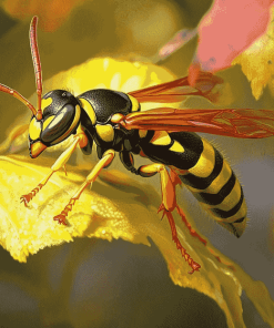 Yellow Jacket Insect Diamond Painting