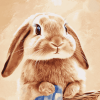 Adorable Bunny Diamond Painting