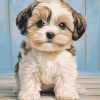 Adorable Shihpoo Puppy Diamond Painting