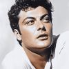 Aesthetic Tony Curtis Celebrity Diamond Painting