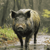 Aesthetic Wild Boar Diamond Painting