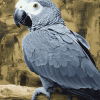 African Grey Bird Diamond Painting