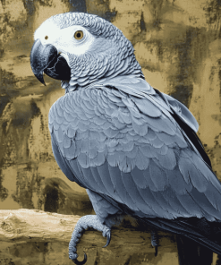 African Grey Bird Diamond Painting