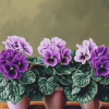 African Violet Blossoms Diamond Painting