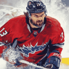 Alexander Ovechkin Hockey Diamond Painting