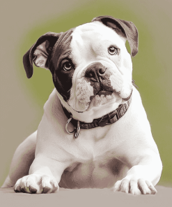 American Bulldog Puppy Diamond Painting