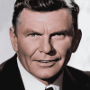 Andy Griffith Icon Diamond Painting