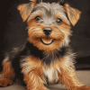 Australian Terrier Puppy Portrait Diamond Painting