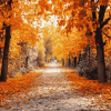 Autumn Walk Landscape Diamond Painting