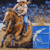 Barrel Racing Horse Diamond Painting