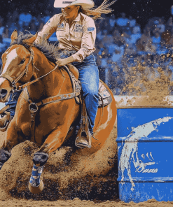 Barrel Racing Horse Diamond Painting