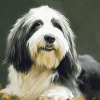 Bearded Collie Puppies Diamond Painting