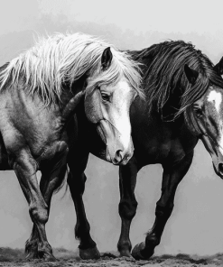 Black And White Cob Horses Diamond Painting