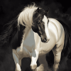 Black and White Cob Horses Diamond Painting