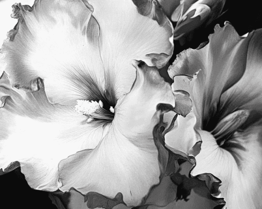 Black and White Flower Diamond Painting